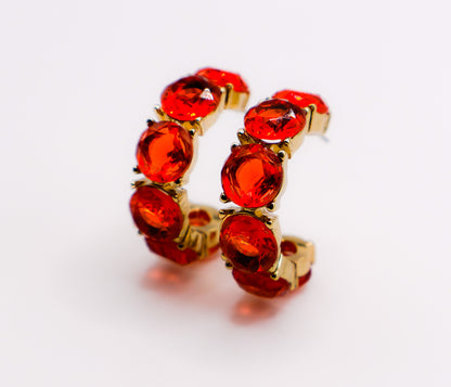 Crimson Elegance Earrings-2