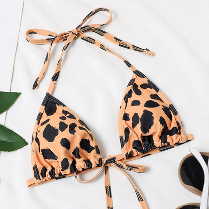 Leopard Print Two Piece Bikini Swimsuit