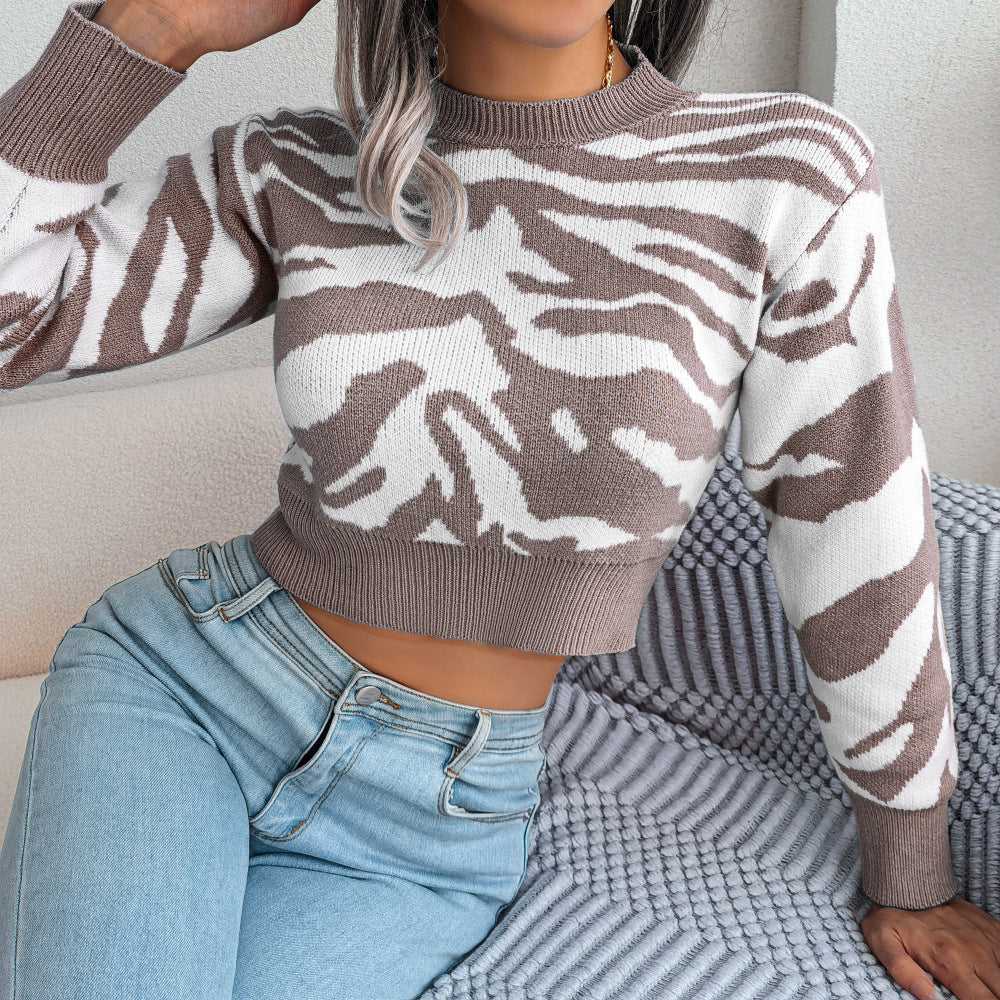 Zebra Pattern Long Sleeve Crop Sweater